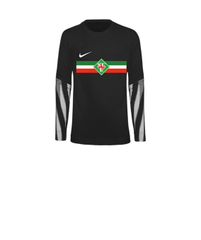 Nike Park V Torwarttrikot Langarm Kids Schwarz F010