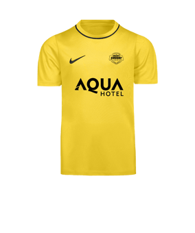 Nike Park 26 Camiseta De Entrenamiento Kids Amarillo C719