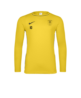 Nike Park 26 Longsleeve Gelb F719