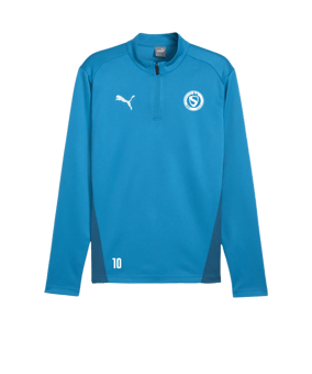 PUMA teamGOAL Training 1/4 Zip Sweatshirt Blau F02