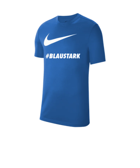 Nike Park 20 Swoosh T-Shirt Kids Blau Weiss F463