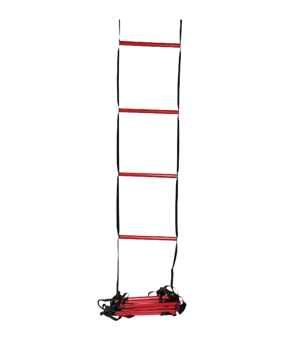 Wilson Ladder échelle de coordination bleu - bleu