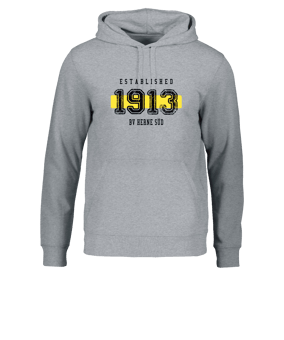 Merch Drummer 2.0 Hoody Heather Grey | #established