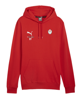 PUMA teamGOAL Casuals Hoody Rot F01