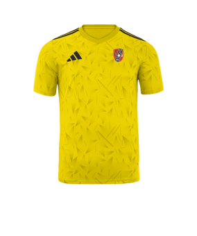 adidas Team Icon 25 Camiseta amarillo 