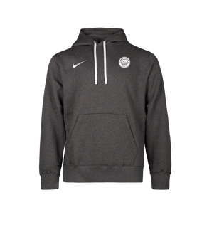 Nike Park 26 Sweatshirt à capuche Gris C071