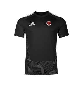 adidas Tiro 26 Maillot de gardien de but Noir 