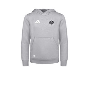 adidas Entrada 26 Hoody Kids Grau