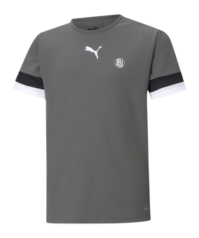 PUMA teamRISE Trikot Kids Grau F13