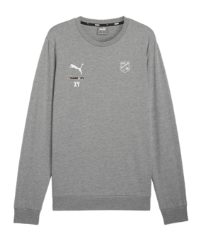 PUMA teamGOAL Casuals Sweatshirt Grau F33