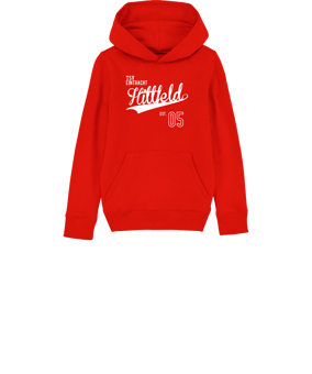 Merch Mini Cruiser 2.0 Hoody Kids Red | #town