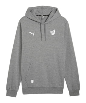 PUMA teamGOAL Casuals Hoody Grau F33