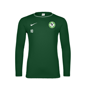 Nike Park 26 Longsleeve Grün F302