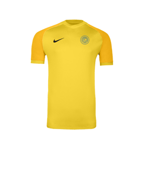 Nike Trophy VI Trikot Gelb F719