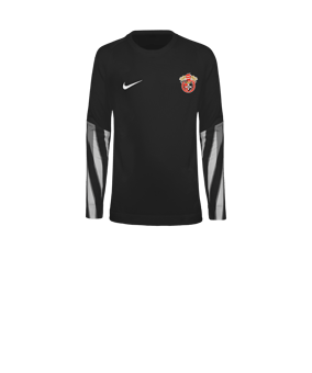 Nike Park V Trikot langarm Kids Schwarz F010