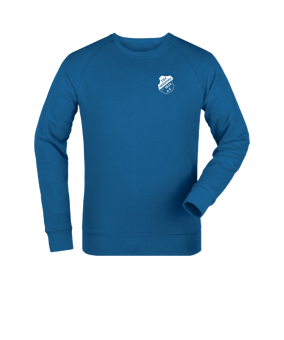 Merch Roller Sweatshirt Royal Blue FC230