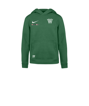 Nike Park 26 Hoody Kids Grün F302