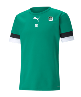 PUMA teamRISE Trikot Grün F05