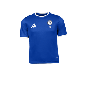 adidas Entrada 26 Maillot Enfants Bleu 