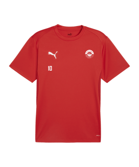PUMA teamGOAL Trikot Rot F01