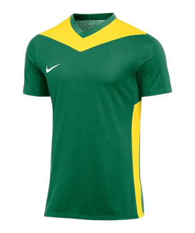Nike Park Derby IV Trikot Kids Grün Gelb F303 - gruen