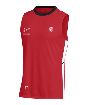 Nike Academy 25 Tanktop Rot F657
