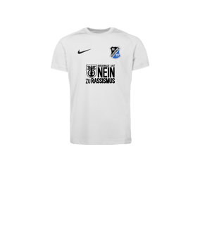 Nike Park VIII Trikot Kids Weiß F100