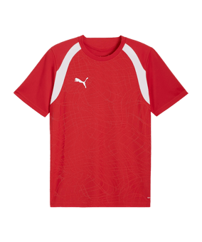 PUMA TeamFINAL 26 Trikot Rot F01