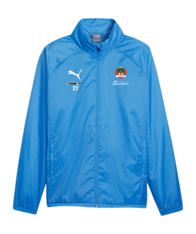 PUMA teamGOAL Allwetterjacke Blau Weiss F02