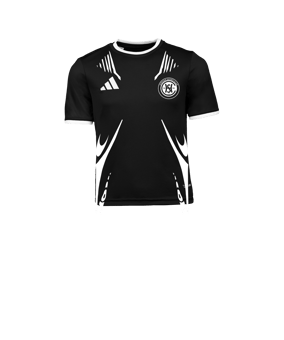adidas Entrada 26 Trikot Kids Schwarz