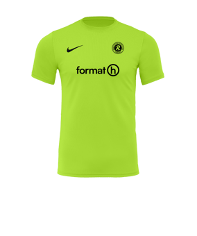 Nike Park VII Trikot kurzarm Gelb F702