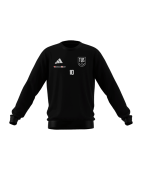 adidas Entrada 26 Sweatshirt Kids Schwarz