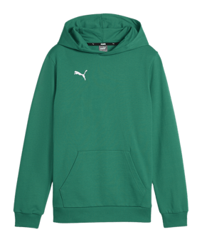 PUMA teamGOAL Casuals Hoody Kids Grün F05 - gruen