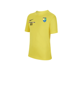 Nike Park VII Trikot kurzarm Kids Gelb F719