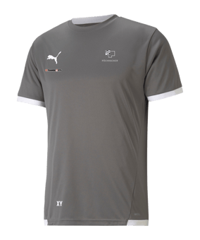 PUMA teamLIGA Trikot Grau F13