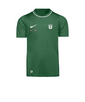 Nike Park 26 Trainingsshirt Kids Grün F302