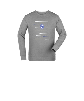 Merch Mini Changer 2.0 Sweatshirt Kids Heather Grey | #lines