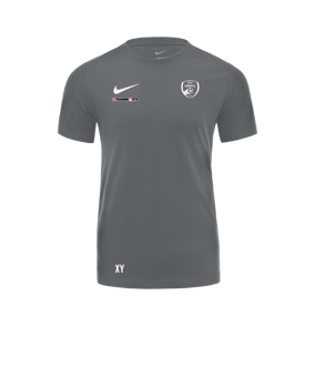 Nike Park 20 Dry T-Shirt Grau Weiss F071