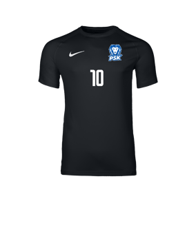 Nike Park VIII Trikot Schwarz F010