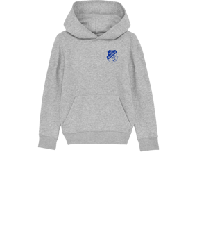 Merch Mini Cruiser 2.0 Hoody Kids H. Grey FC250
