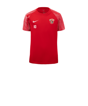 Nike Academy Trikot Kids Rot Weiss F657