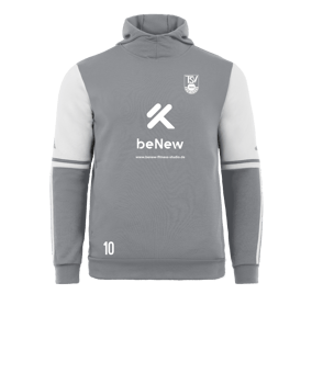 adidas Squadra 25 Hoody Grau