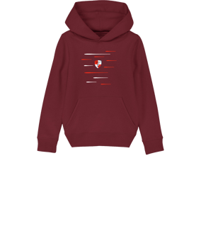 Merch Mini Cruiser 2.0 Hoody Kids Burgundy FC244