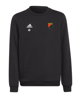 adidas Entrada 22 Sweatshirt Kids Schwarz