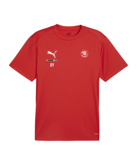 PUMA teamGOAL Trikot Rot F01