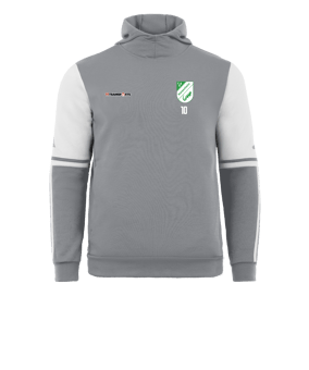 adidas Squadra 25 Hoody Grau