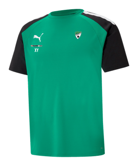 PUMA teamPacer Trikot Grün F05