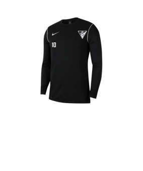 Nike Park 20 Sweatshirt Kids Schwarz Weiss F010