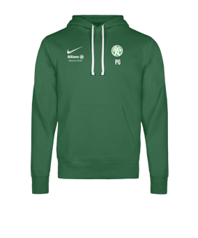 Nike Park 26 Hoody Grün F302