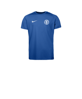 Nike Park VIII Trikot Kids Blau F463